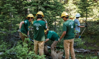 Conservation Corps Members at work in a Montana Forest