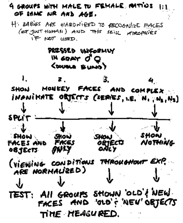 Chapter 8: Teaching Science for Understanding: Focusing on Who, What
