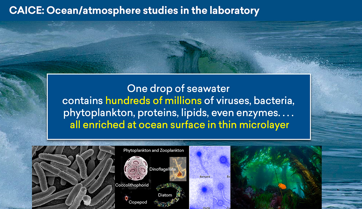 An image of the ocean and sea spray, with inset images of bacteria, phytoplankton, Zooplankton, proteins, and a section of a dense forest.