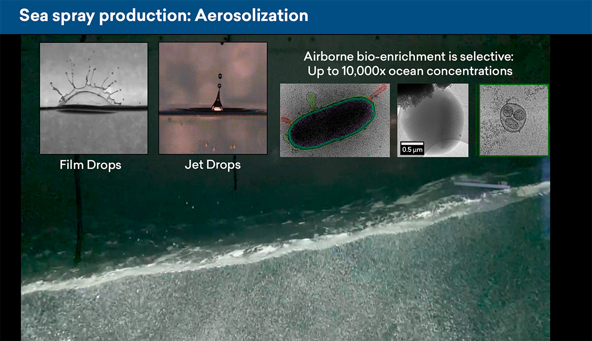 An image of a breaking wave with bubbles. There are five inset images showing film drops, jet drops, and bacteria.