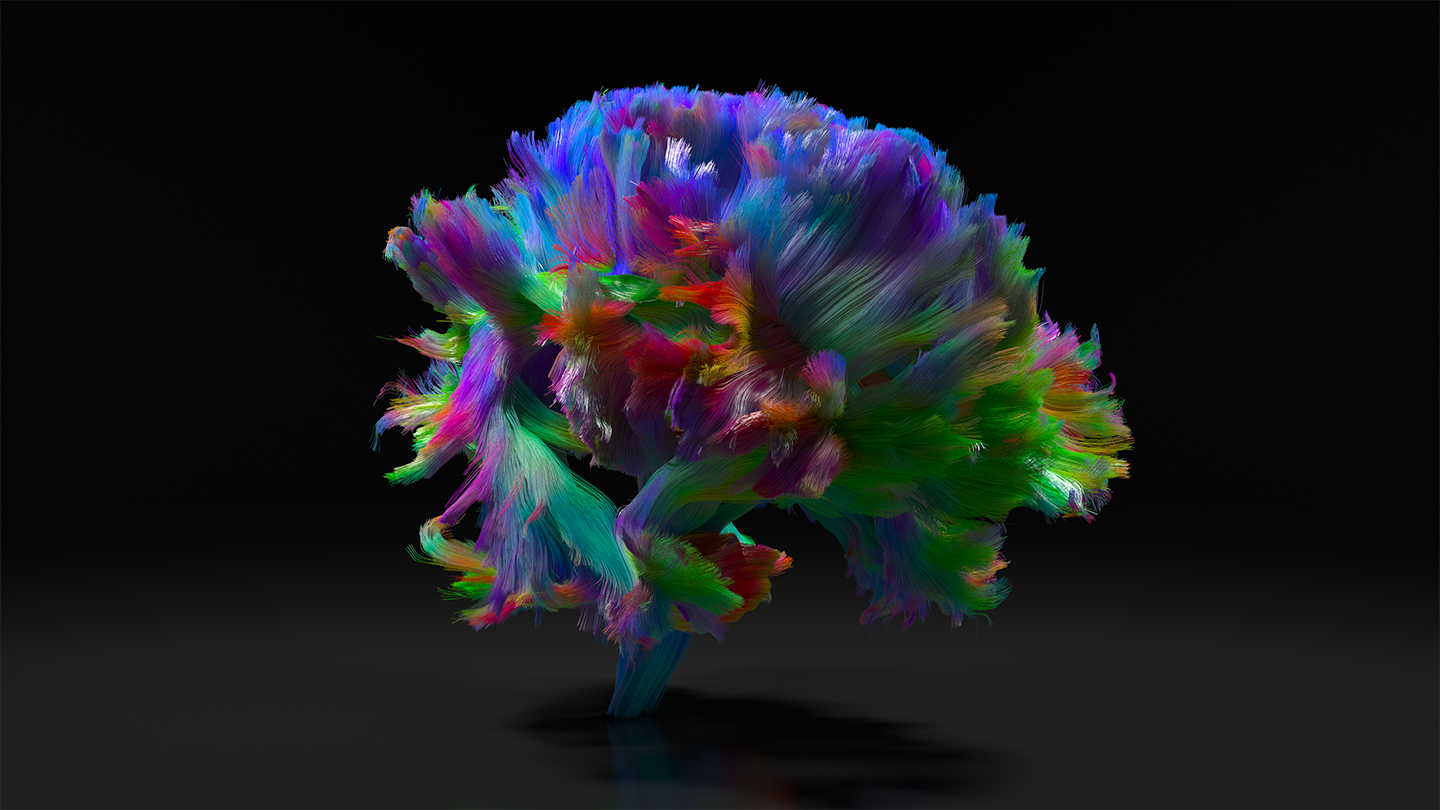 A rainbow-colored object made of many thin follicles condenses seventy terabytes of MRI data into the shape of a human brain with brain stem.