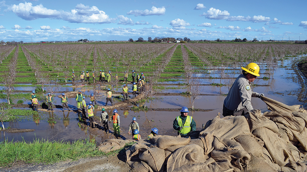 People in hard hats and construction vests pass sandbags down a line through a flooded agricultural field. 