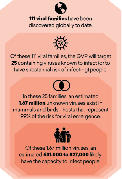 GVP targeting strategy