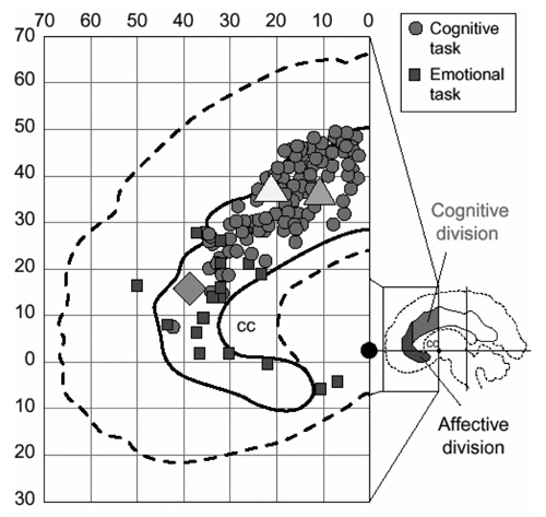 Image of Figure 2