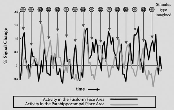 Image of Figure 1