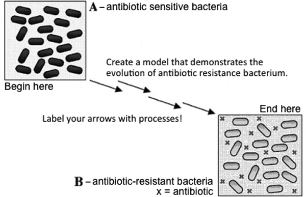 Image of Figure 2c