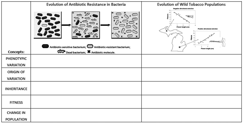 Image of Figure 3