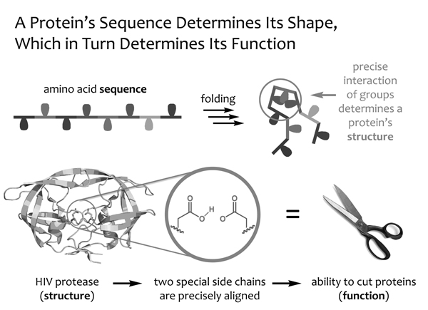 protein-structure-worksheet-answers-promotiontablecovers