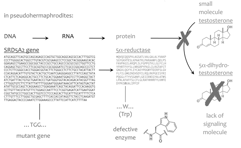 Image of Figure 4