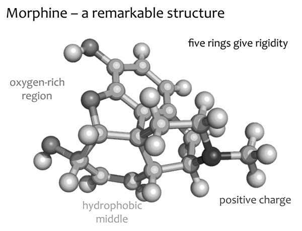 Image of Figure 7