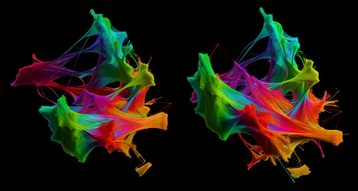 Black background with two rainbow-colored objects. The objects have irregular shapes with gaps and tendons.