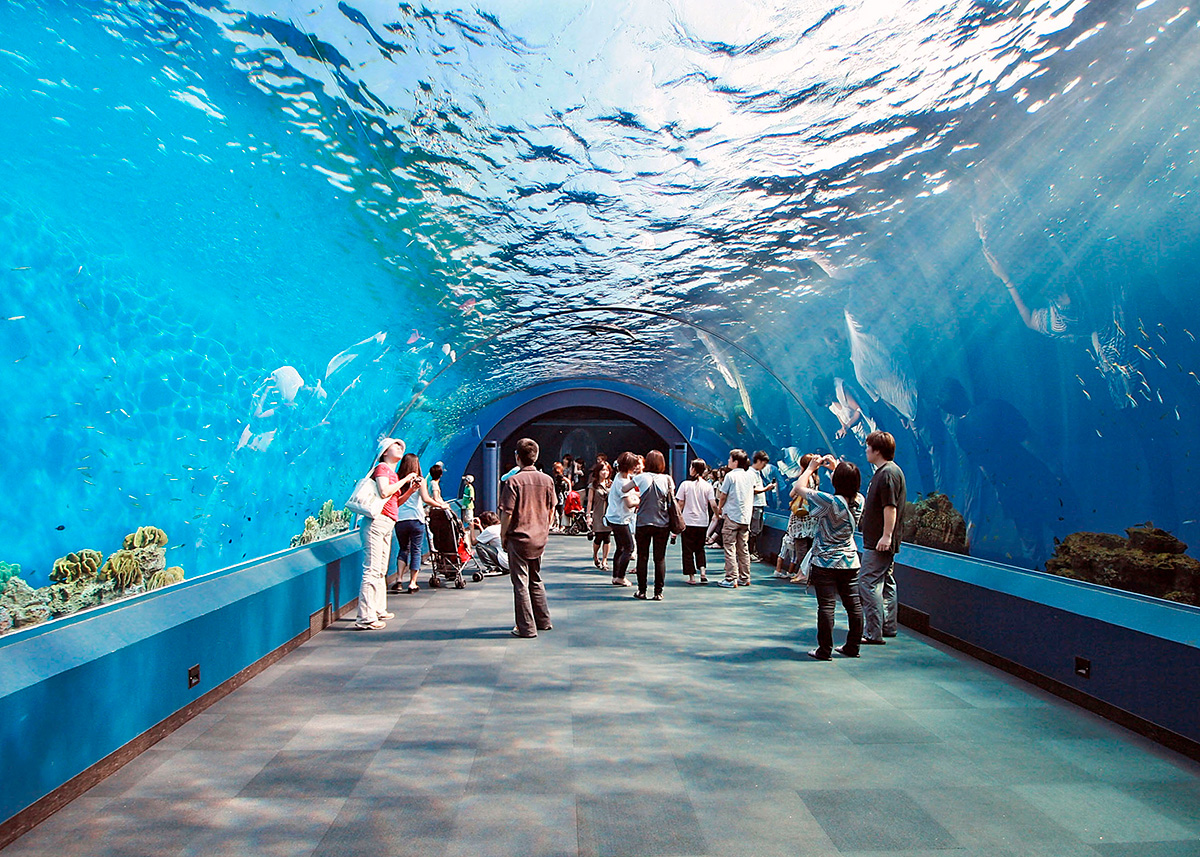 People in a tunnel, surrounded by an aquarium, look up at the fish and underwater scenery.