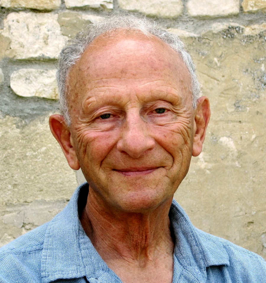 Arthur fine american academy of arts and sciences