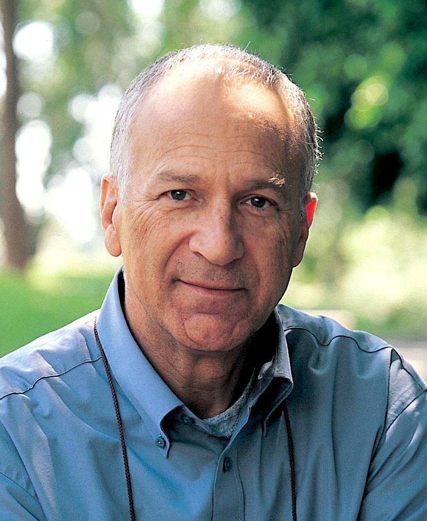 David Harel | American Academy of Arts and Sciences