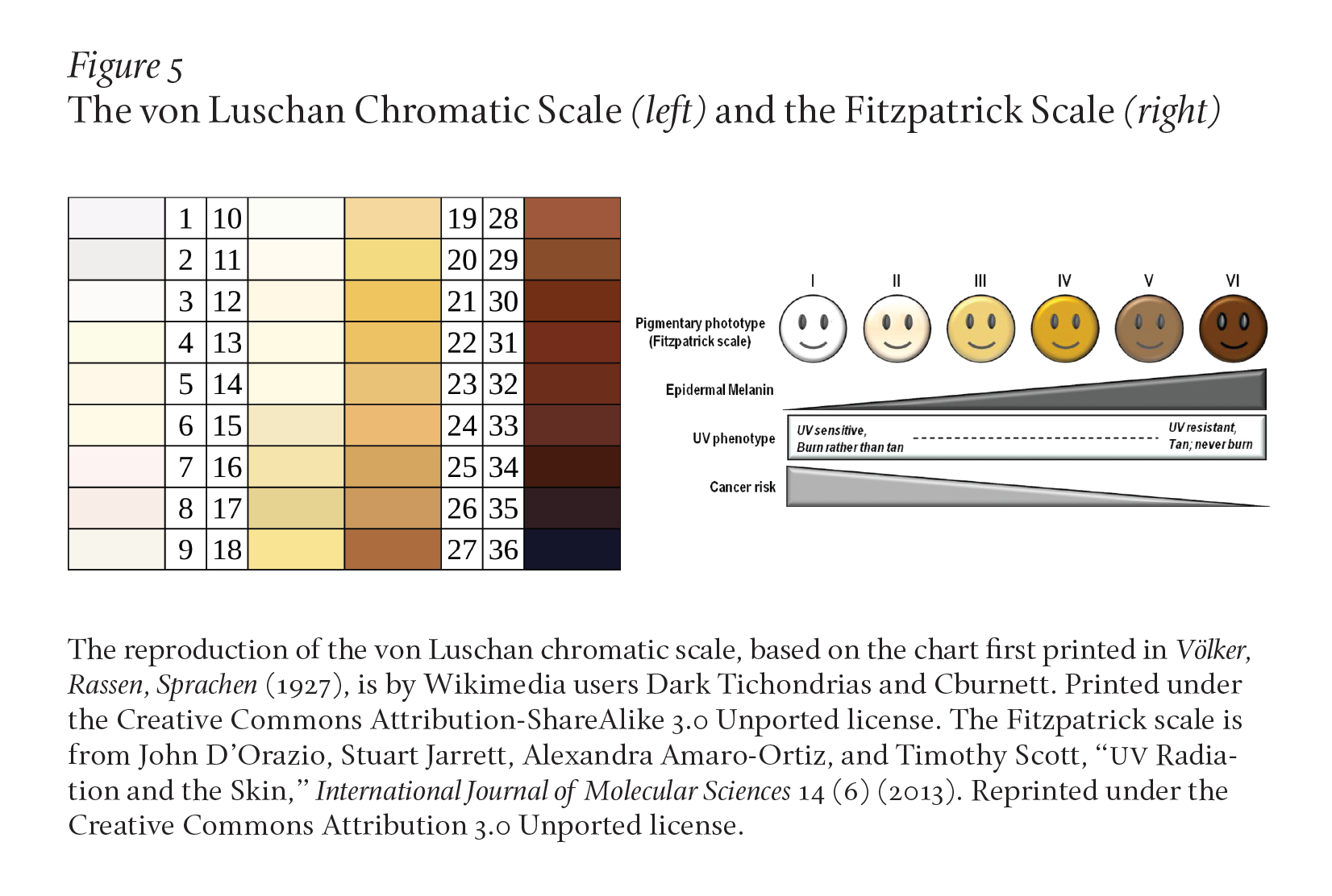 The von Luschan Chromatic Scale (left) and the Fitzpatrick Scale (right)