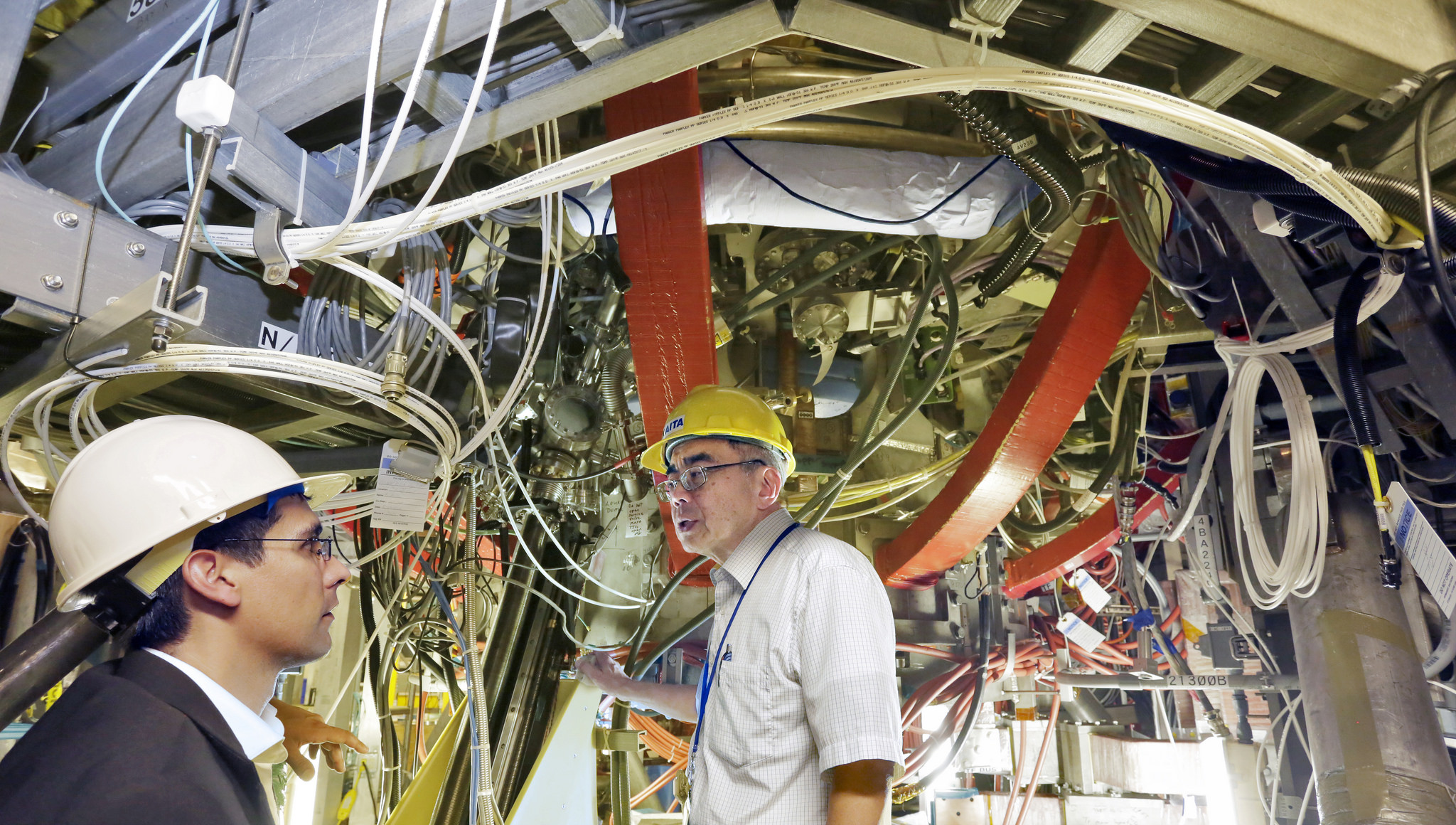 Science, Engineering, and Technology | American Academy of Arts and