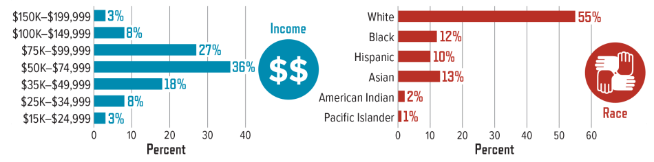 Demographics of Festival Attendees