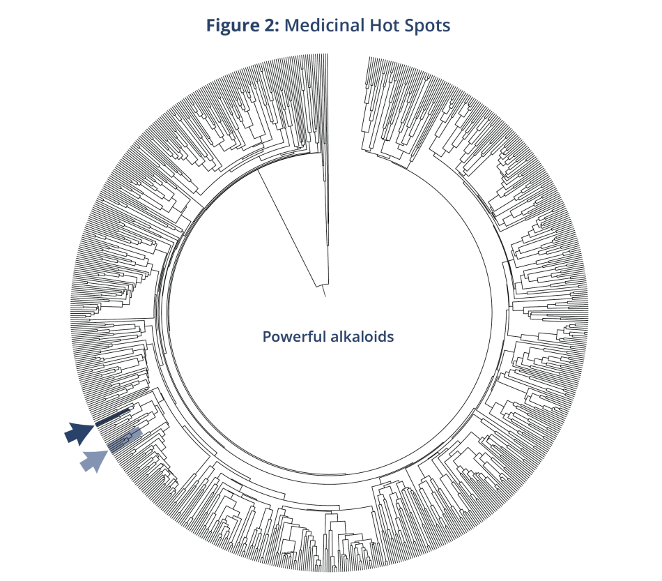 Tree-of-Life-Figure-2.png Figure 2: Medicinal Hot Spots