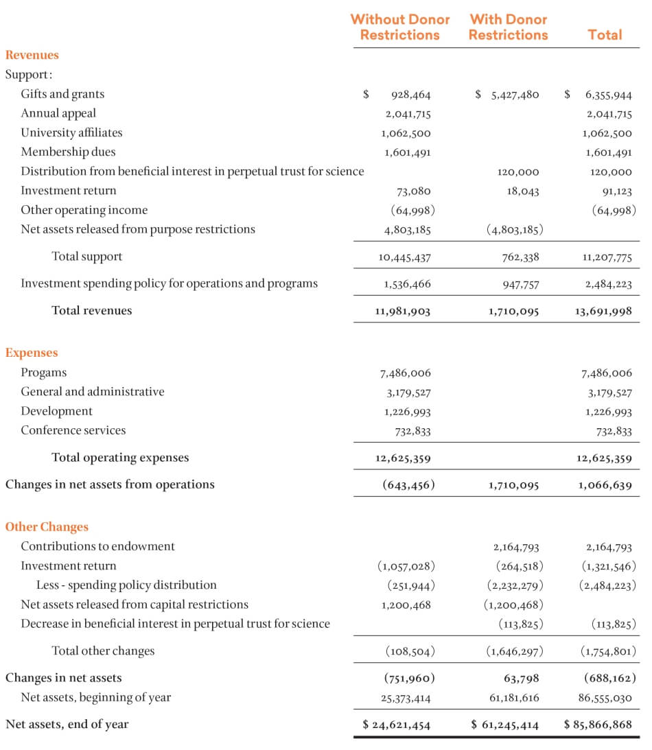 change in net assets 2020