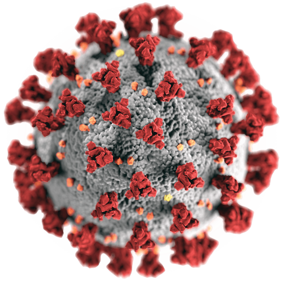 coronavirus.png coronavirus