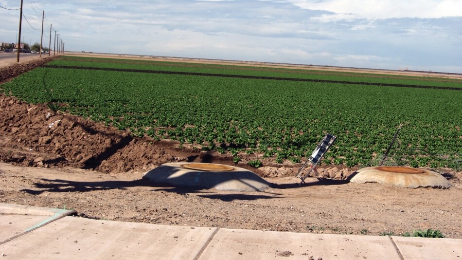 Photo by Ken Lund. Published under a Creative Commons Attribution-ShareAlike 2.0 Generic (CC BY-SA 2.0) license. A green field stands beside a dirt road in the Colorado River Basin.