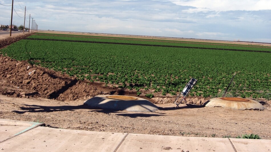 A green field stands beside a dirt road in the Colorado River Basin.