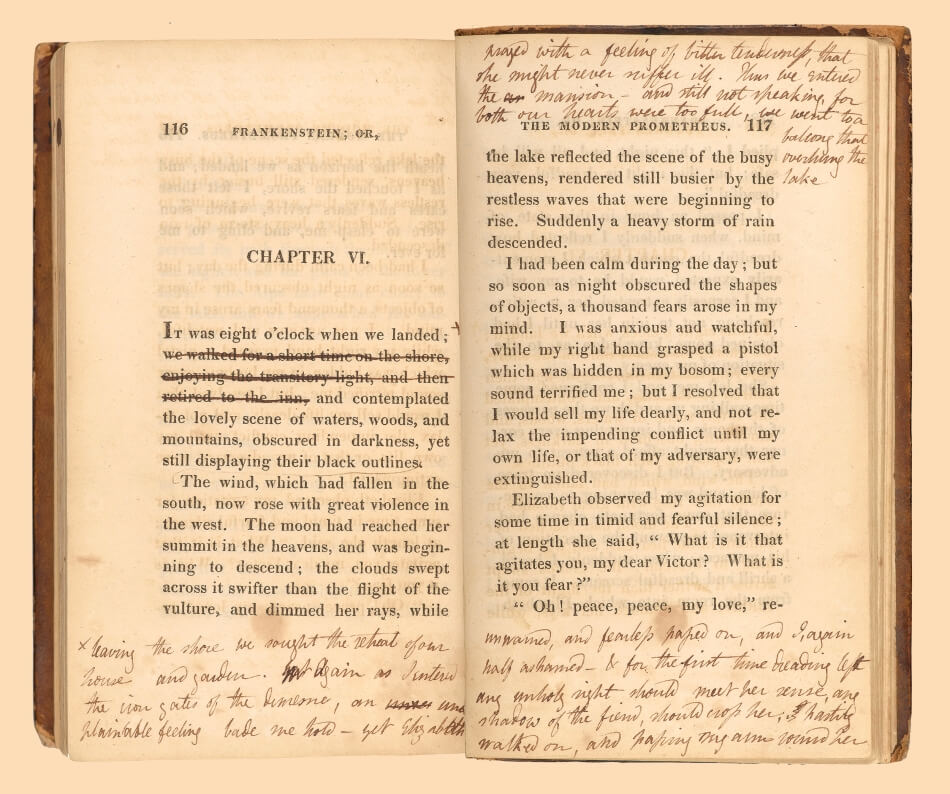 Annotated Frankenstein_CMYK-resized.jpg Frankenstein