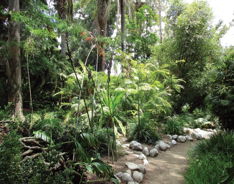 Stuart Wolpert/UCLA Botanical-garden.jpg