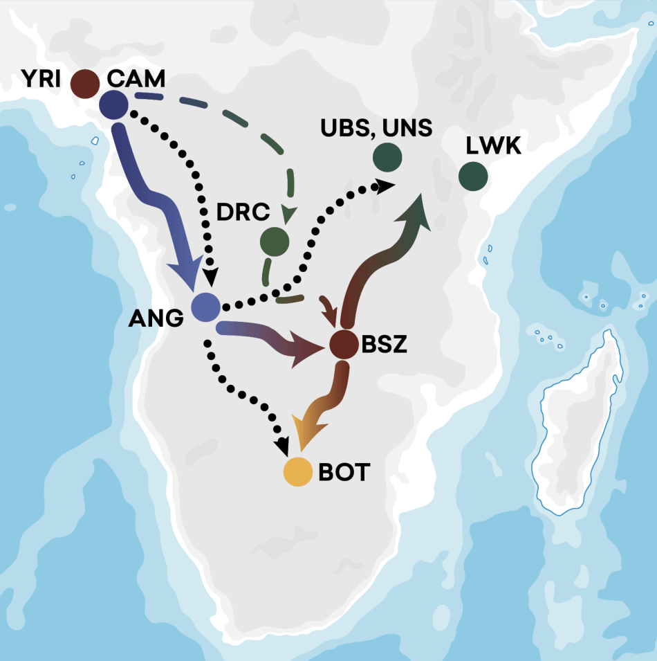 H3Africa_0.png H3Africa