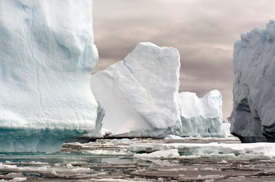 Iceberg.jpg Iceberg
