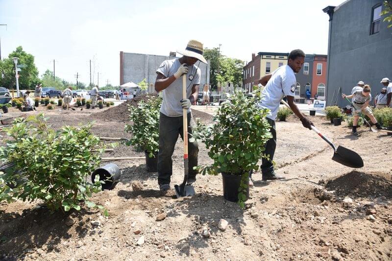 AmeriCorps volunteers plant shrubs in a vacant lot