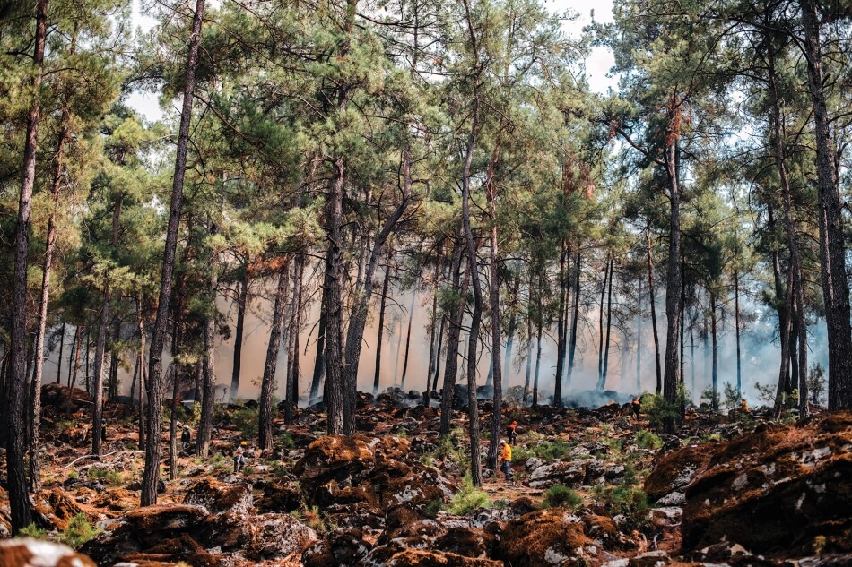 iStock.com/AegeanBlue climate-action.jpg