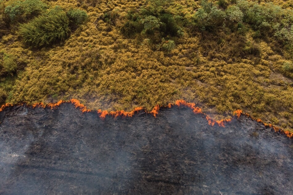 iStock.com/josemoraes climate change