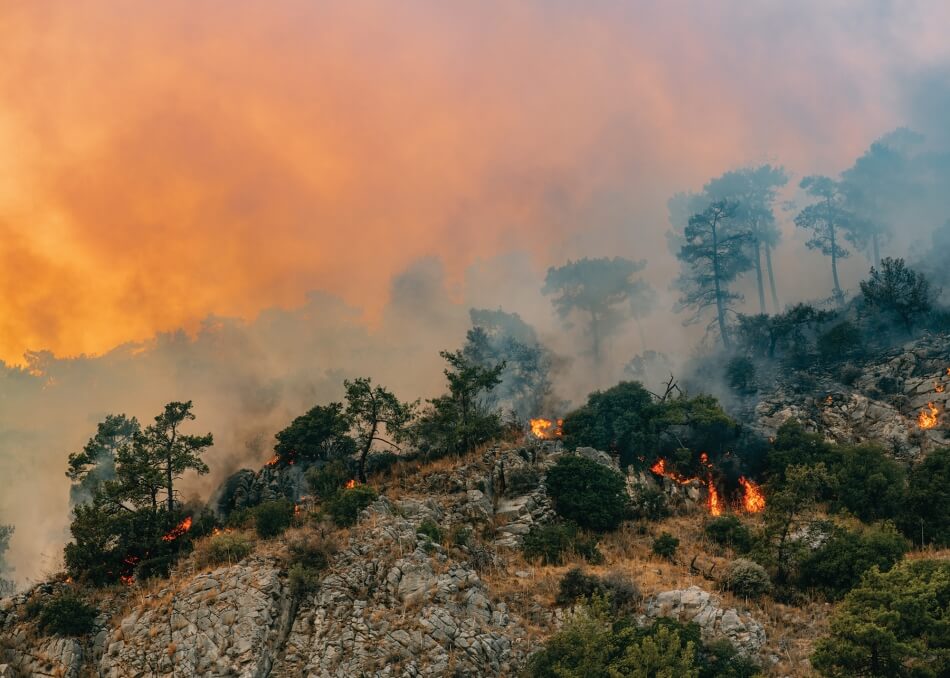 iStock.com/AegeanBlue Huge Forest Fire in Red Pine Forests