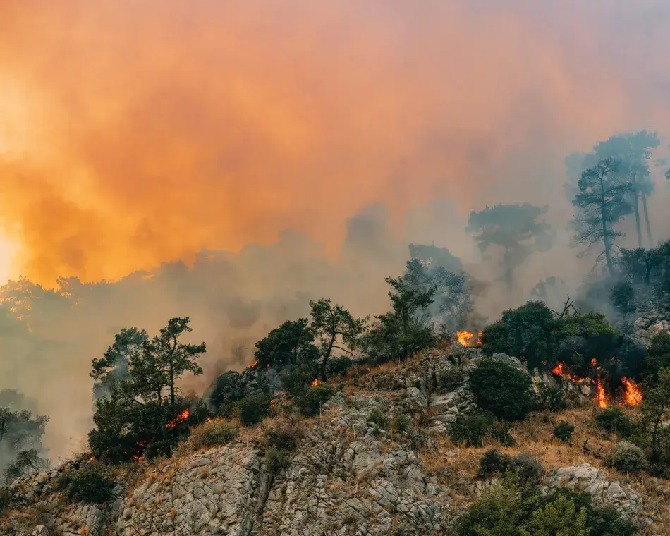 iStock.com/AegeanBlue Huge Forest Fire in Red Pine Forests. iStock.com/AegeanBlue