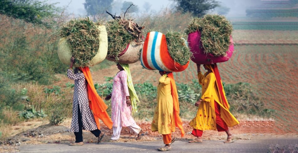 women carrying brush