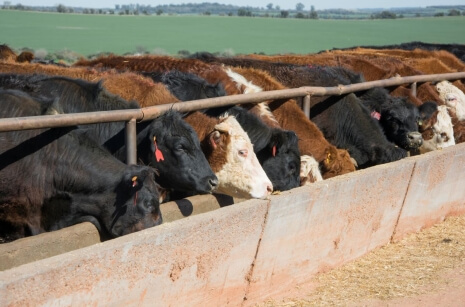 Control Pollutants Beyond Co2