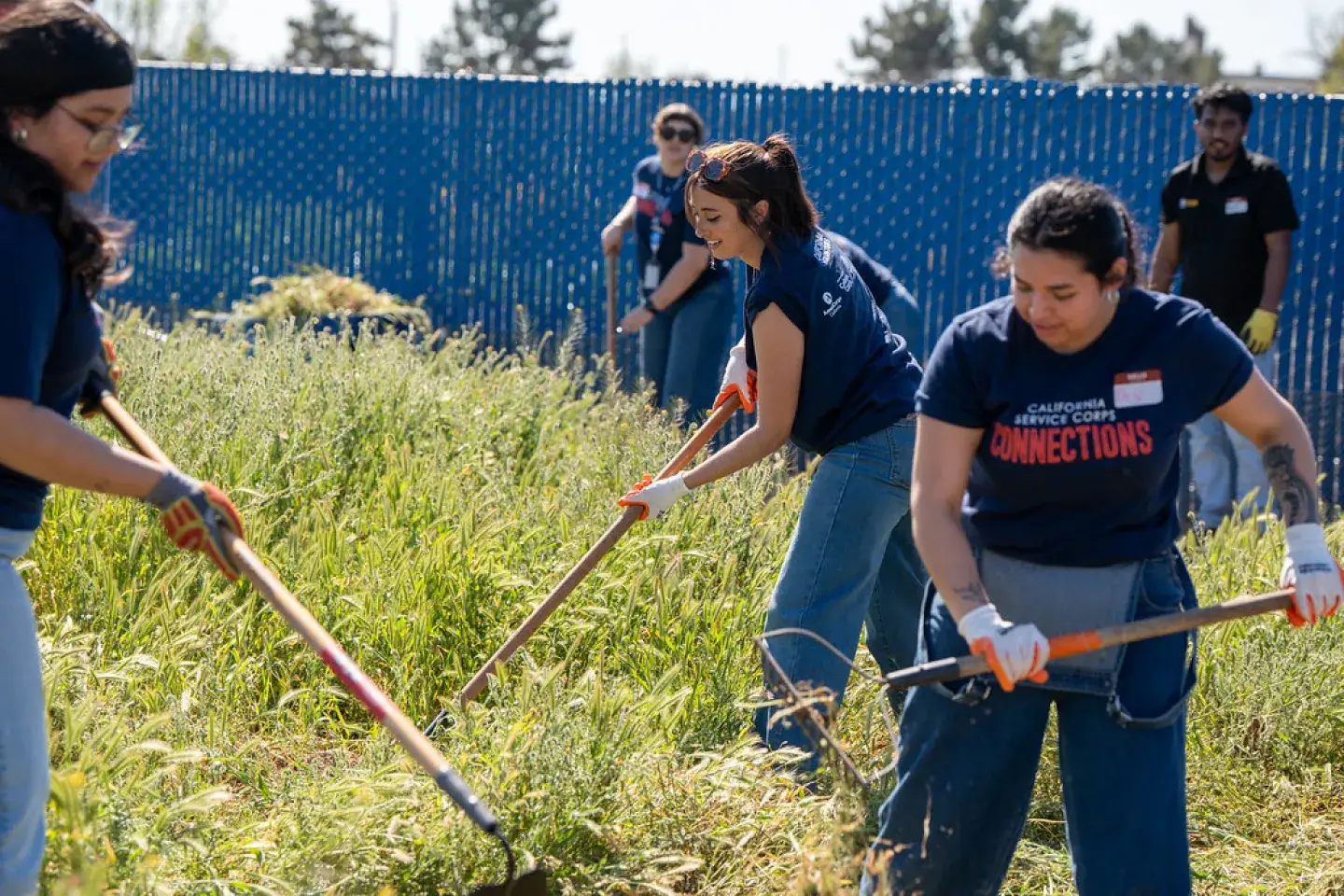 College-aged women volunteer to landscape a field.