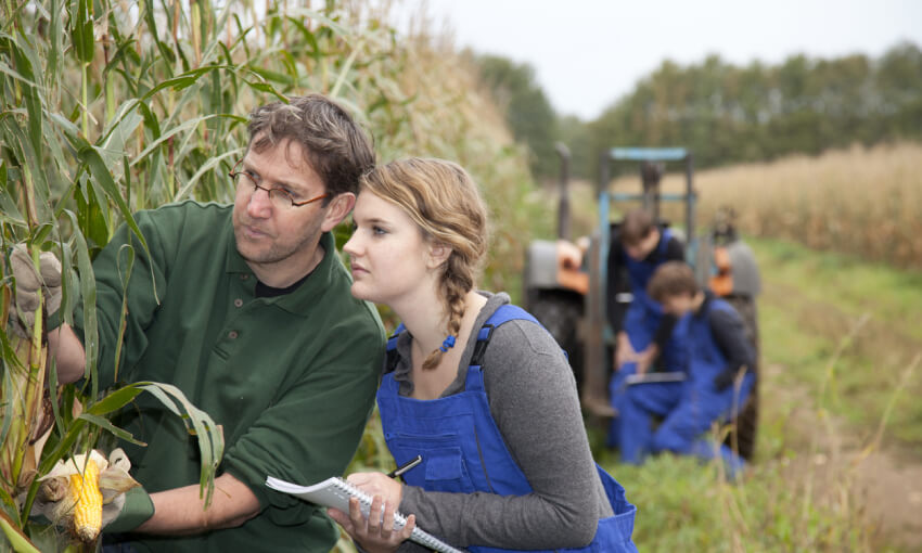 Trainee learning from farmer