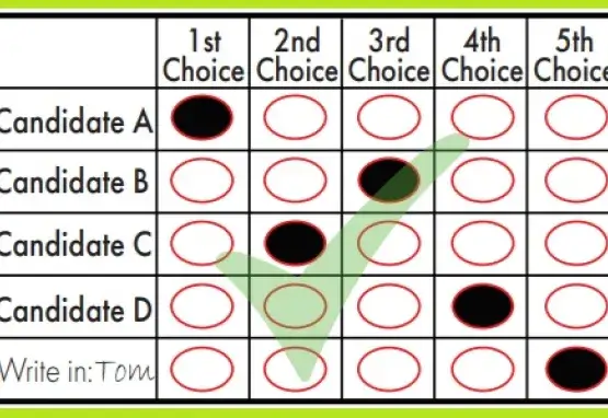 Sample Ranked Choice Voting Ballot from Alaska Voter Education Materials