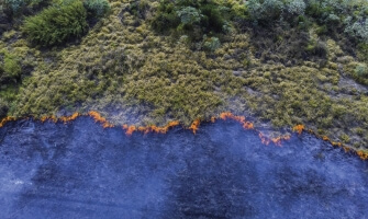 Environmental Image Bisected by Fire Line