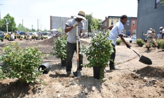 AmeriCorps volunteers plant shrubs in a vacant lot