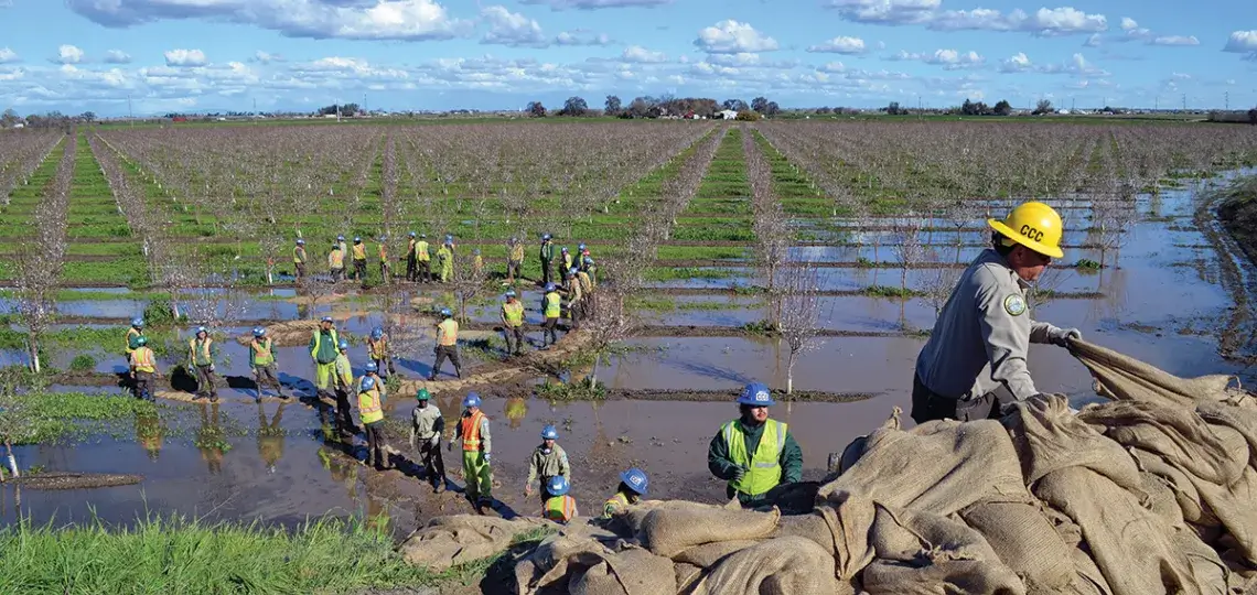 People in hard hats and construction vests pass sandbags down a line through a flooded agricultural field. 