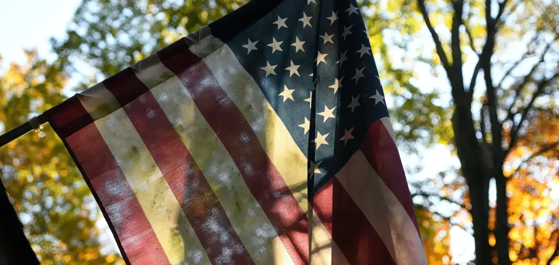 American Flag Outside with Tree