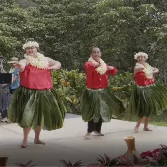 Hula dancers