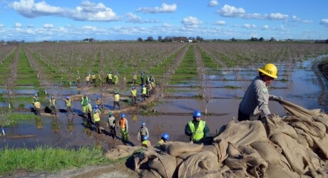 San Joaquin levee repair