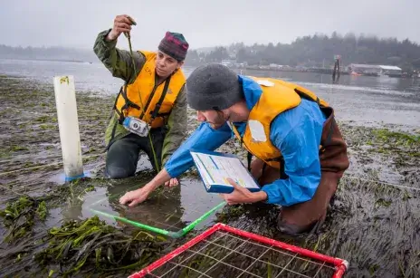 EPA scientists surveying aquatic life. 2009, OR. Credit USEPA