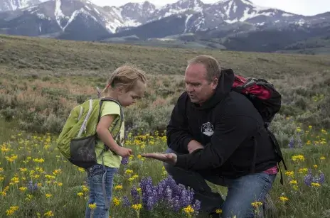 BLM Colorado Native Plant Materials Development Program