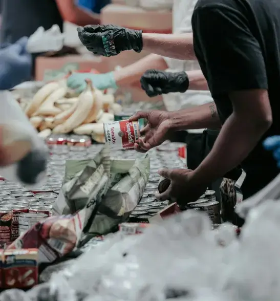 Community partnership shown with Hands Sorting Food 