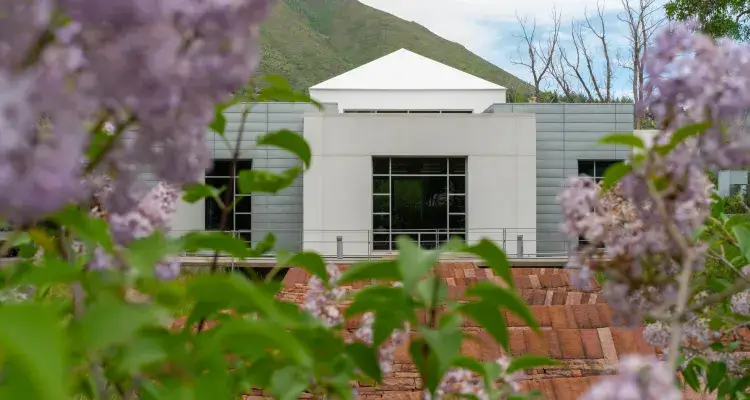 A white building in the background with flowers in the foreground 